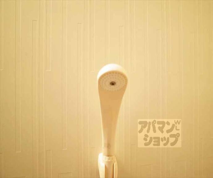 【ハイツシティ聖護院】間取