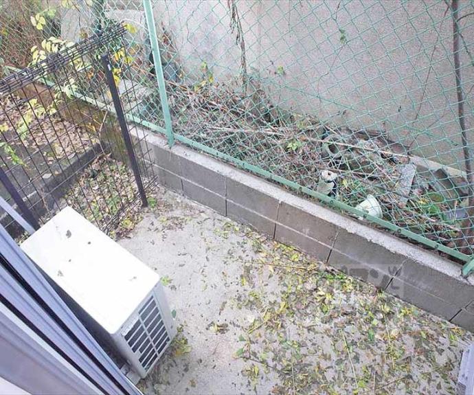 【ハイツタウン聖護院】間取