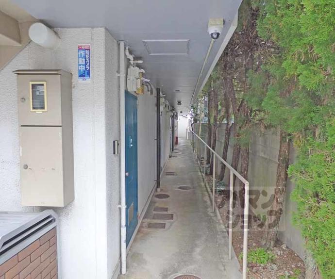 【シェーンハイム】間取