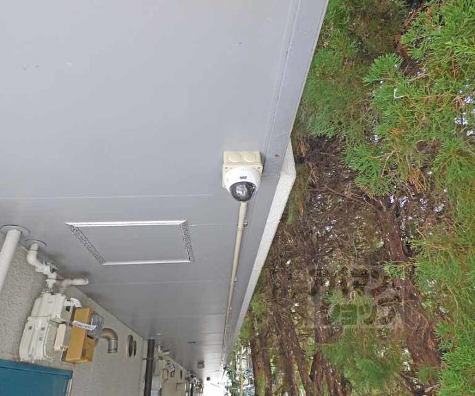 【シェーンハイム】間取