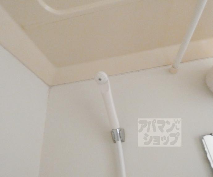 【シェーンハイム】間取