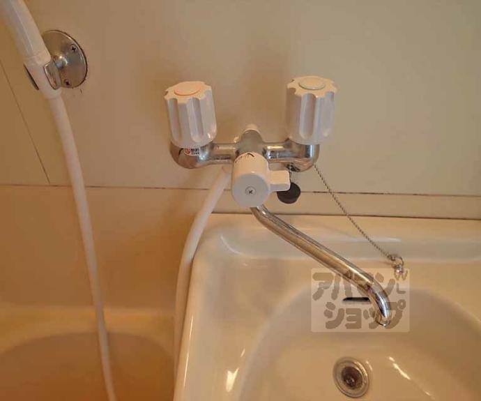 【ハイツシマ】間取