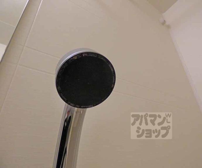 【ベラジオ京都一乗寺】間取