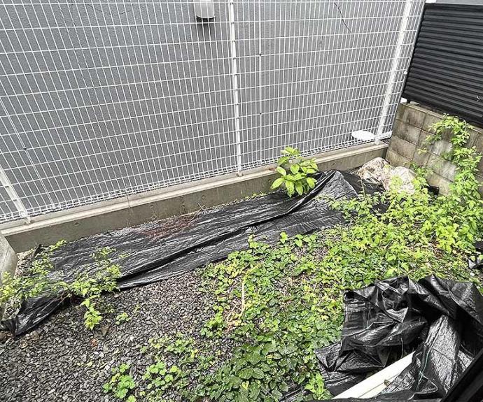 【シャーメゾン葵】間取