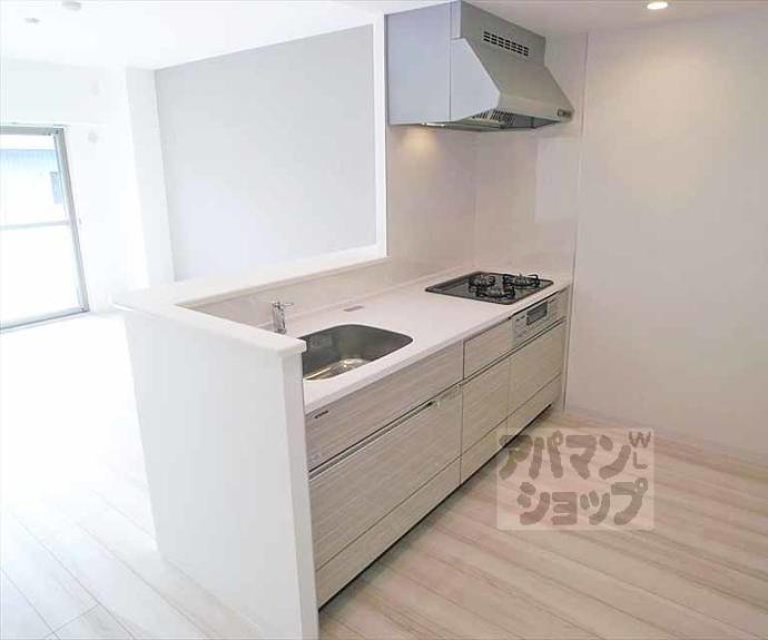 【ドルフ聖護院】間取