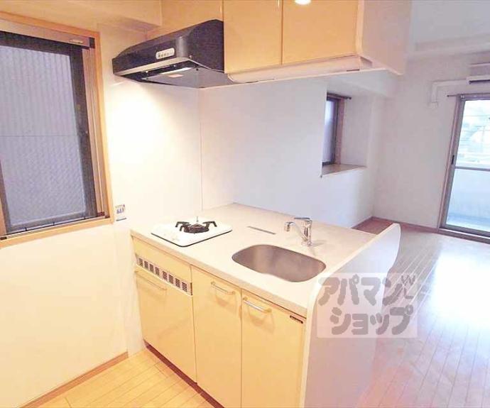 【プレサンス京大東】間取