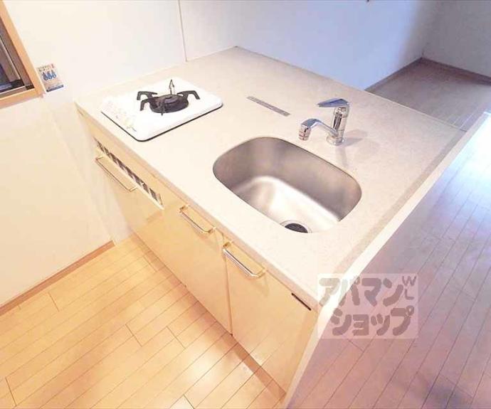 【プレサンス京大東】間取