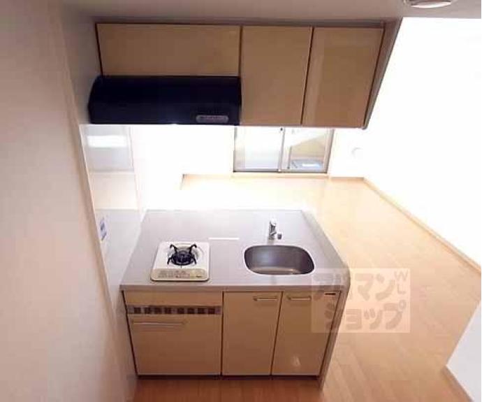 【プレサンス京大東】間取