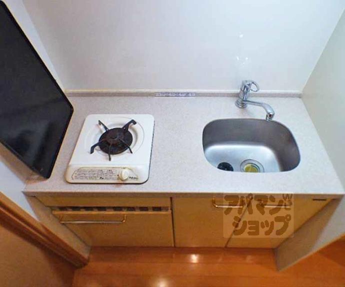 【プレサンス京大東】間取