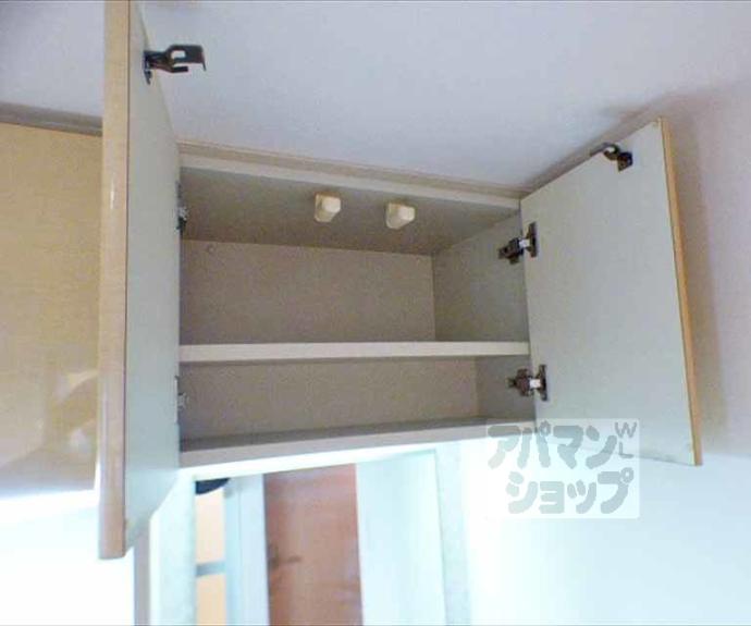 【プレサンス京大東】間取