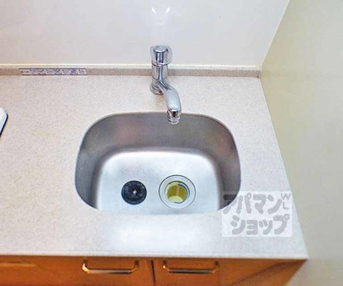 【プレサンス京大東】間取