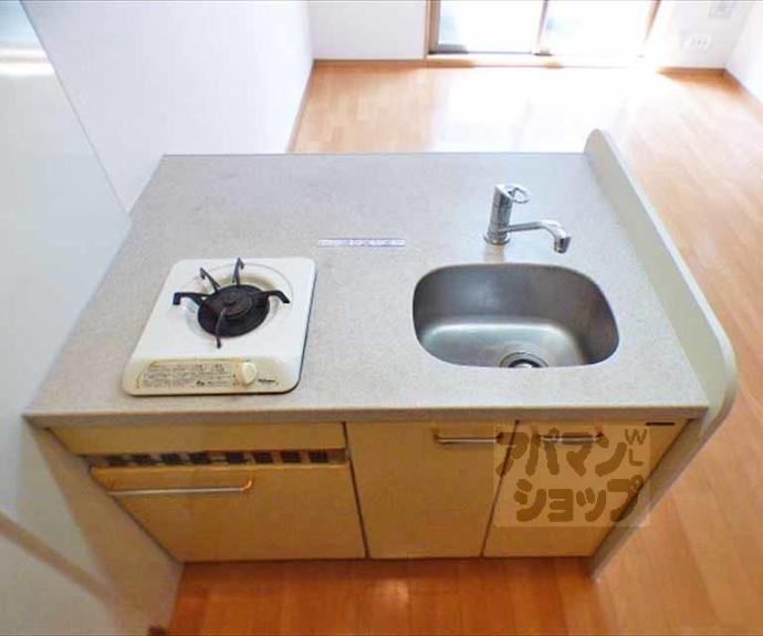 【プレサンス京大東】間取