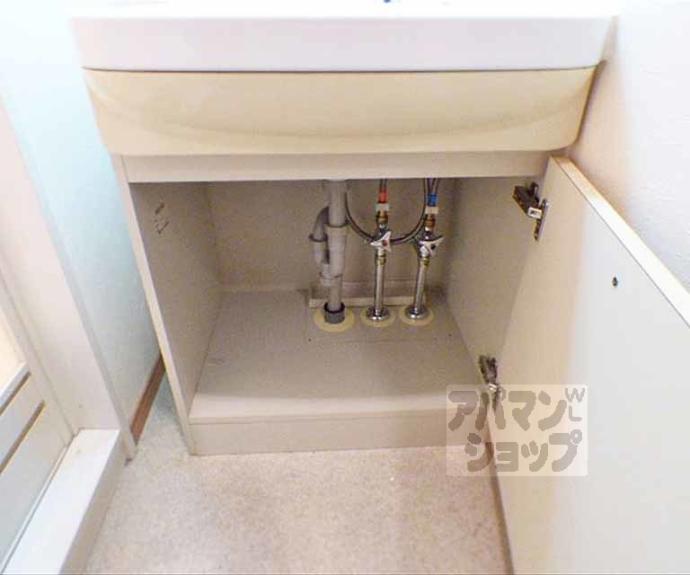 【プレサンス京大東】間取