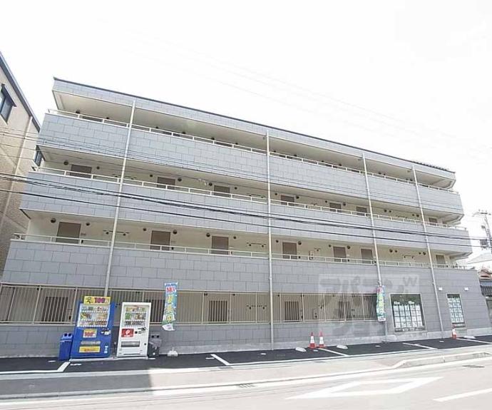 【PINE館】間取