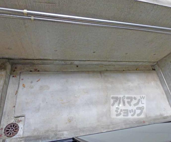 【ウィルネス】間取