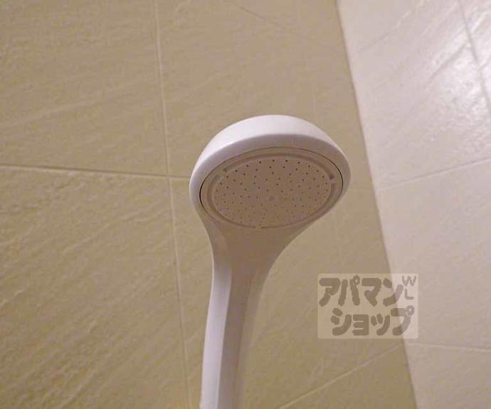 【ウィルネス】間取