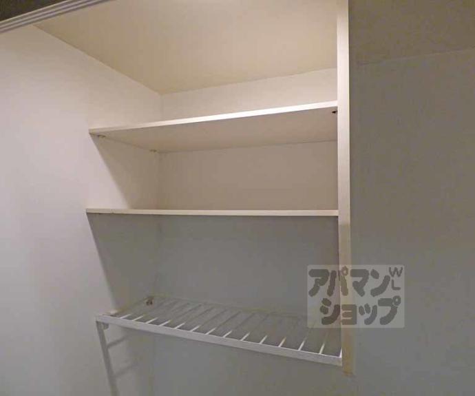 【ウィルネス】間取