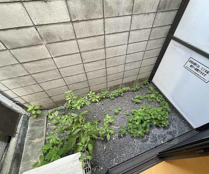 【インテグレート四条大宮】間取