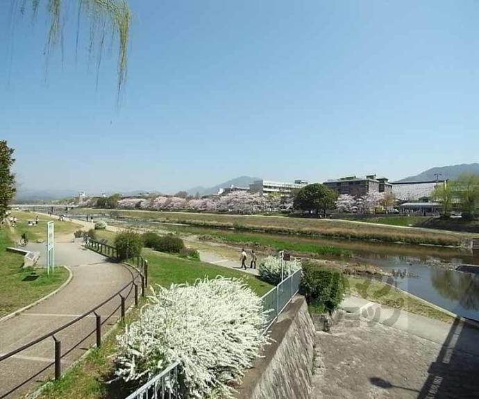 【エレガント鴨川】間取