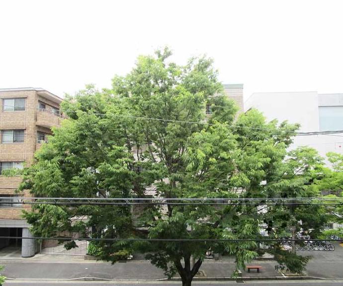 【シルベーヌ北山】間取