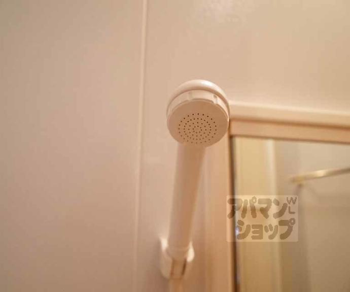 【メゾンクレセント】間取