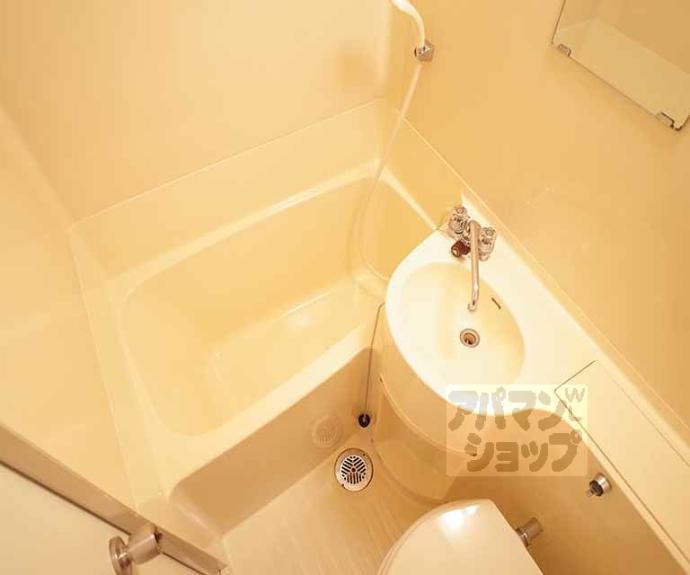 【シャルマン大栄】間取