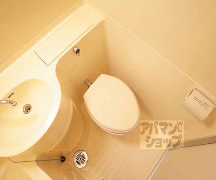 【シャルマン大栄】間取