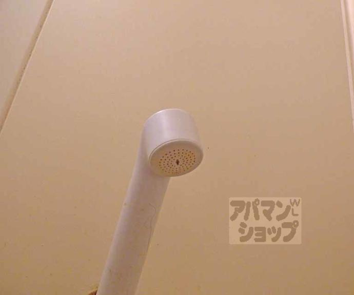 【パスチャーＭ】間取