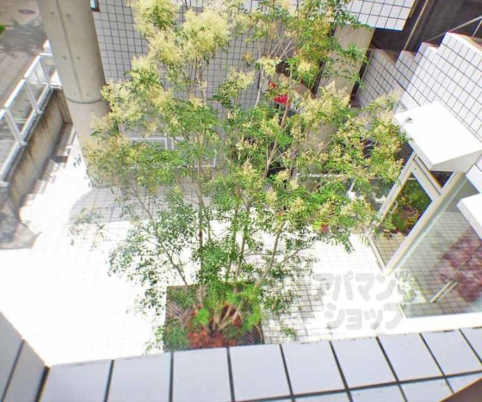 【きんこん館】間取