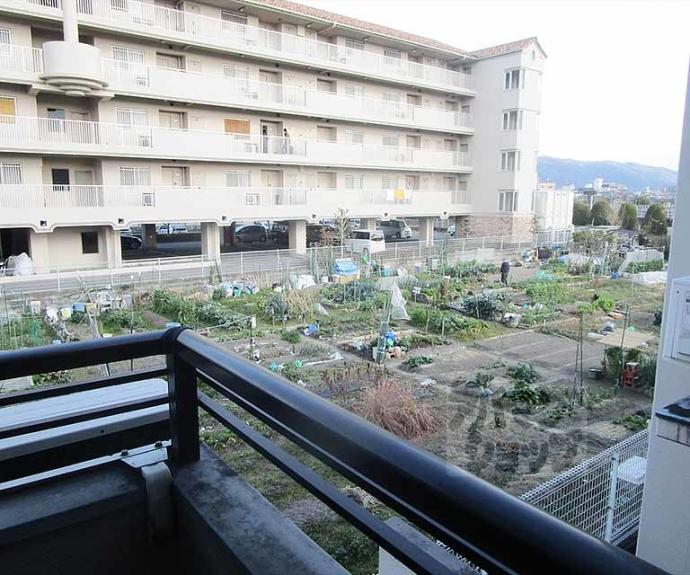 【ペレニアルフラックス】間取