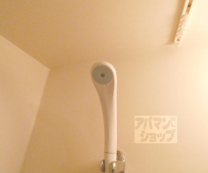 【エントピアハイツ】間取