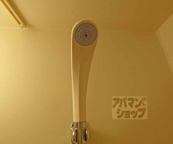 【エントピアハイツ】間取
