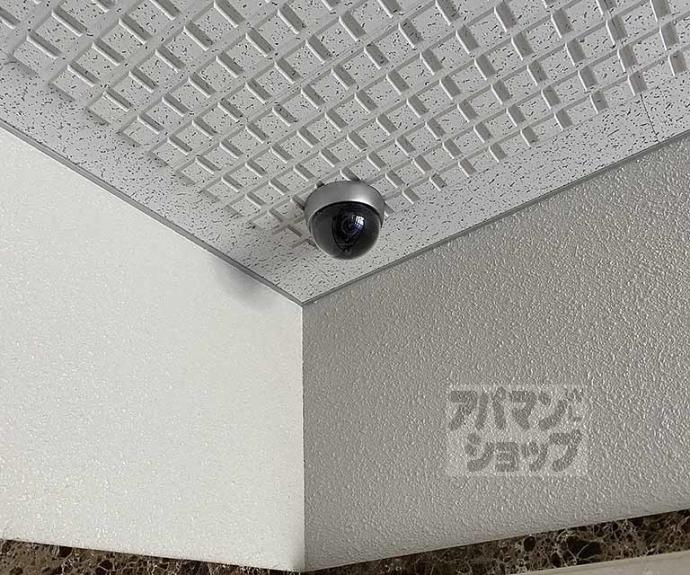 【ベル・アビタシオン】間取