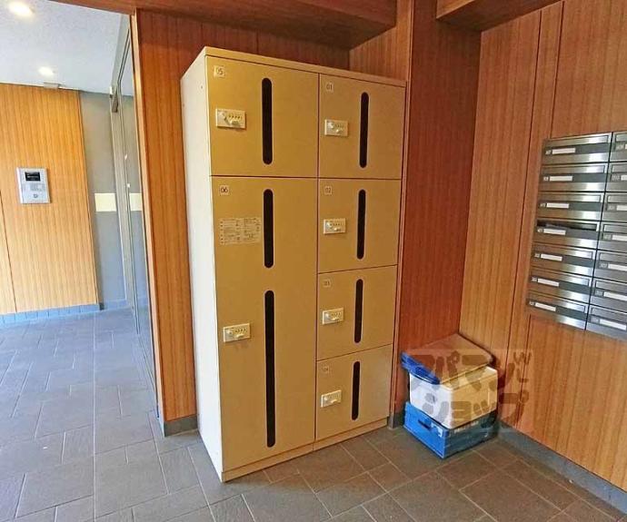 【フラッティ円町北】間取