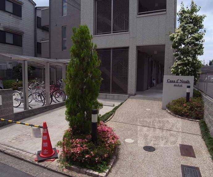 【Ｃａｓａ　ｄ＇　Ｎｏａｈ】間取