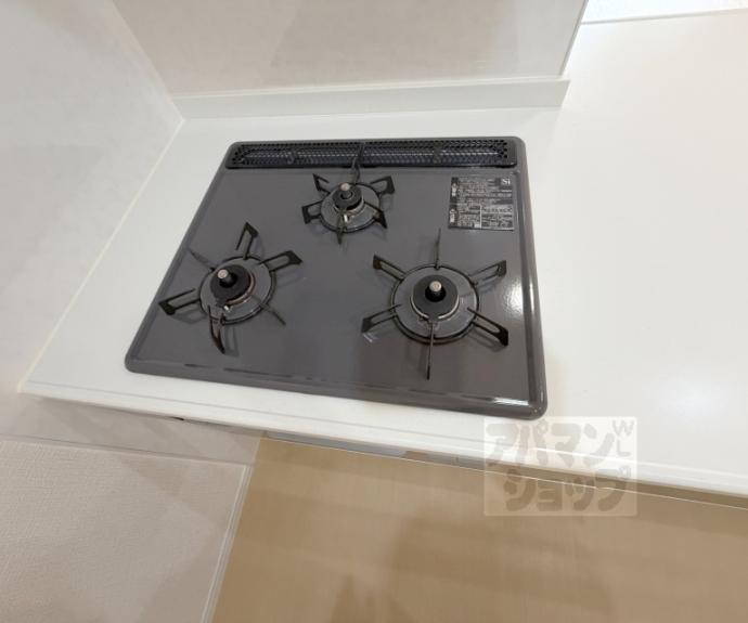 【シャーメゾン嵐山】間取