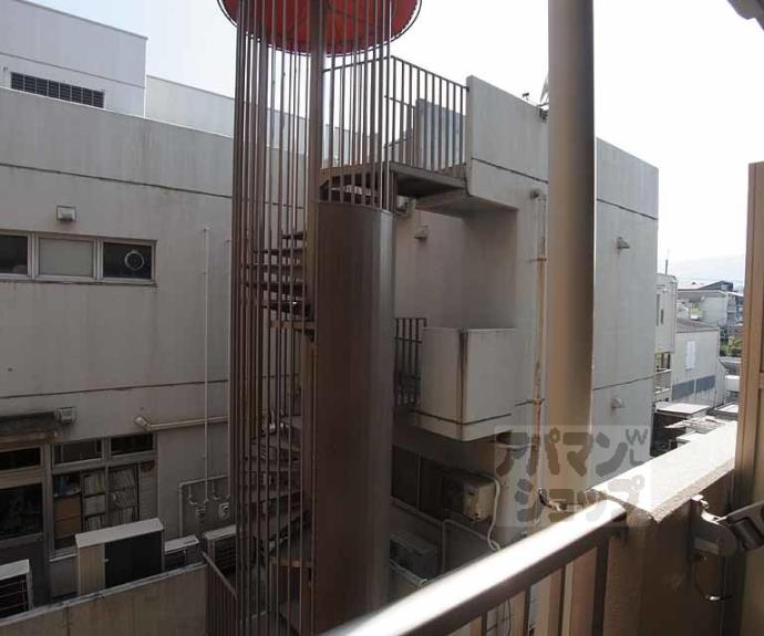 【チェルシー桂】間取