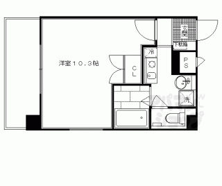 【ＣＡＳＡ　ＳＨＩＫＯ】