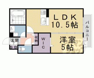 【アレグリア桂】