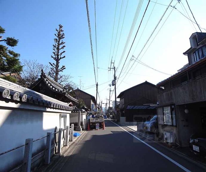 【セレノ】間取