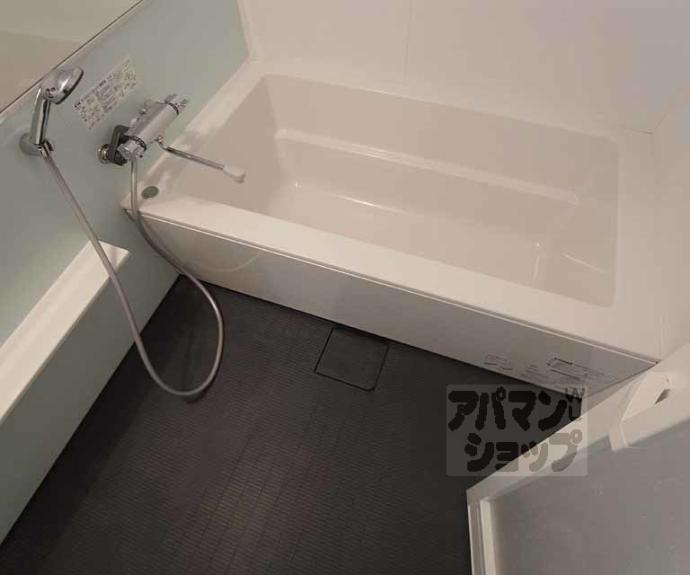 【プリオーレリベルタ桂A棟】間取