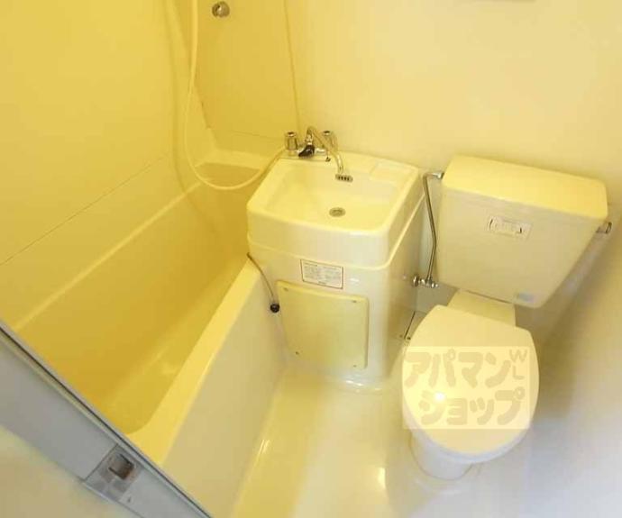 【コテージPOLO】間取