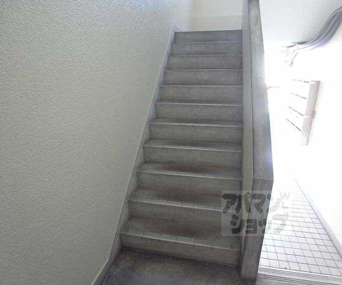 【ハイツシャンピニオン】間取