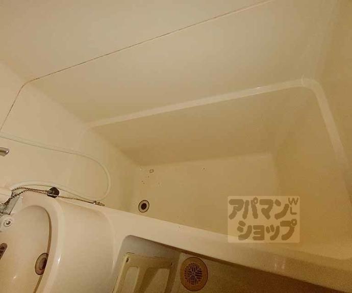 【ハイツシャンピニオン】間取