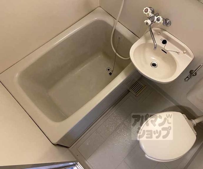 【ドミトリーインテリジェンス】間取