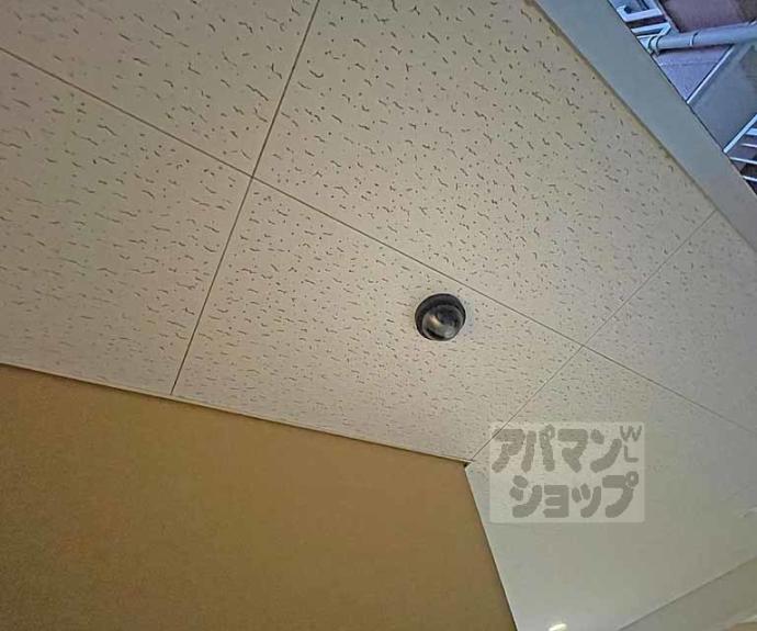 【カーサ・ヴェルデ西洞院】間取