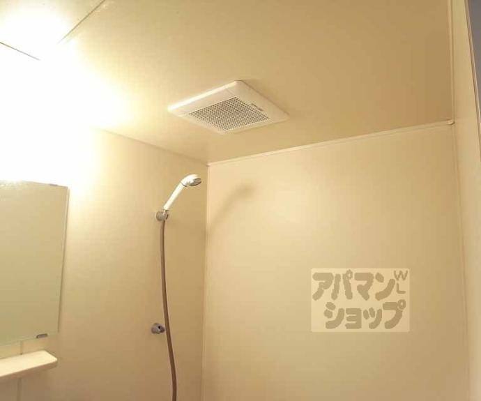 【ナウハイツ】間取