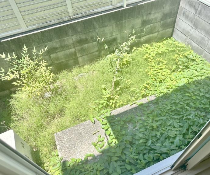 【フォレストグリーン】間取