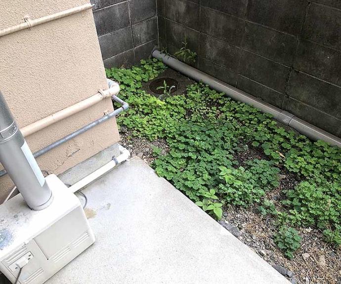 【孝栄ハイツ】間取