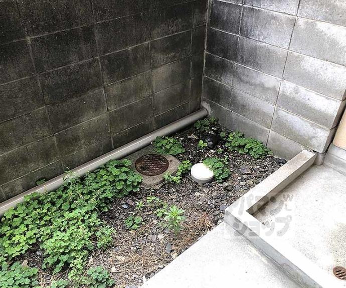 【孝栄ハイツ】間取